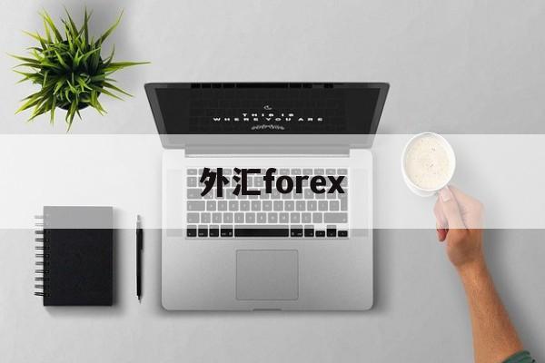 外汇forex(外汇forex 人民币入金)